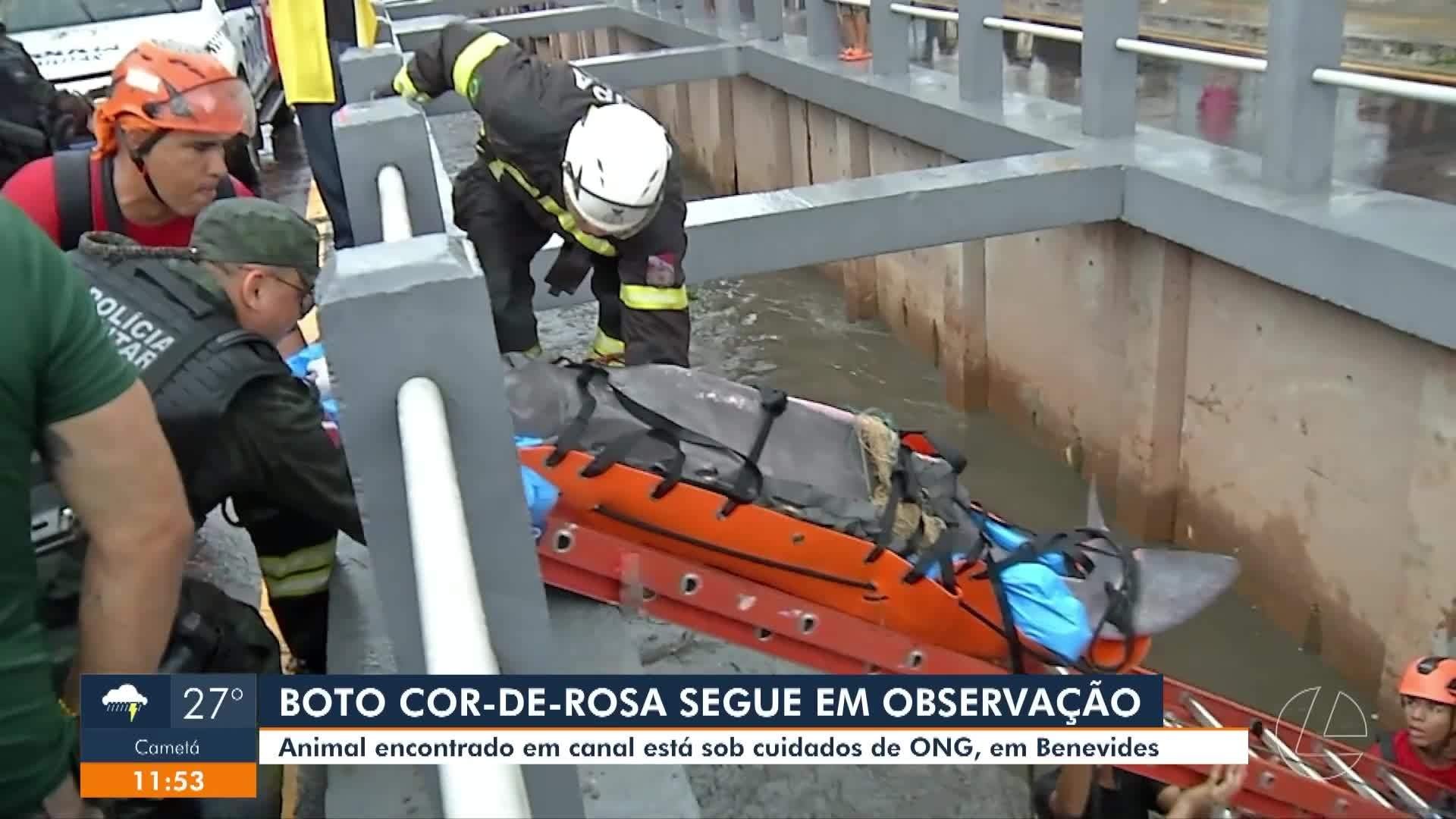 VÍDEOS: JL1 de quarta-feira, 18 de março de 2026