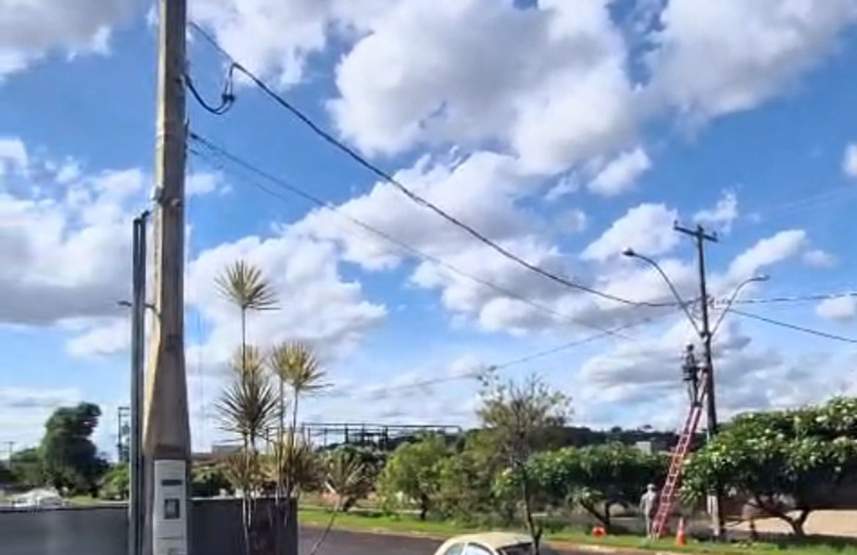 Fique por dentro: Retirada total de cabos sem aviso prévio corta internet de escritórios em Ribeirão Preto, SP, e causa prejuízo