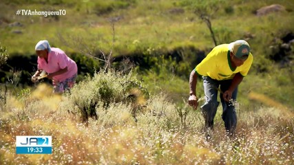 Veja os destaques do Globo Rural deste domingo (5)