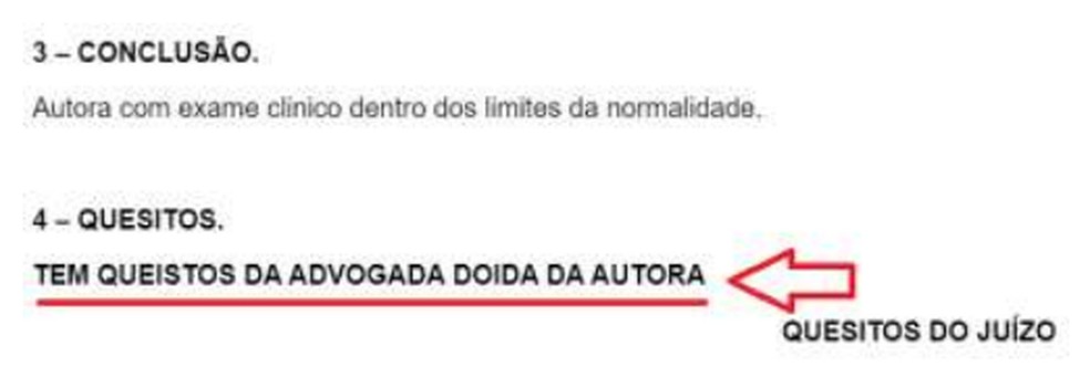 "Tem quesitos da advogada doida da autora" — Foto: Reprodução