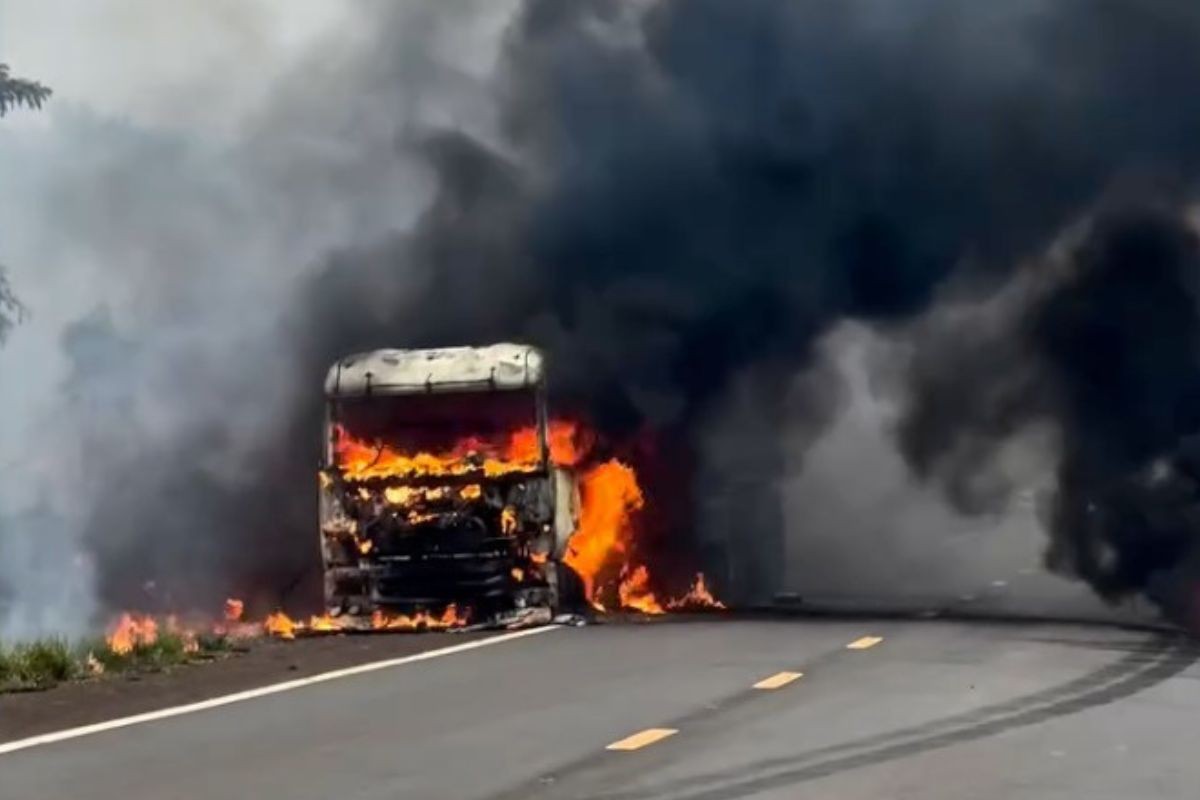 VÍDEO: Incêndio destrói carreta após pneu estourar na MS-134