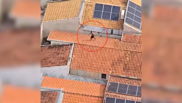 Araçatuba-SP: Ladrão foge pelos telhados, é perseguido pelo helicóptero Águia e acaba preso após furtar casa