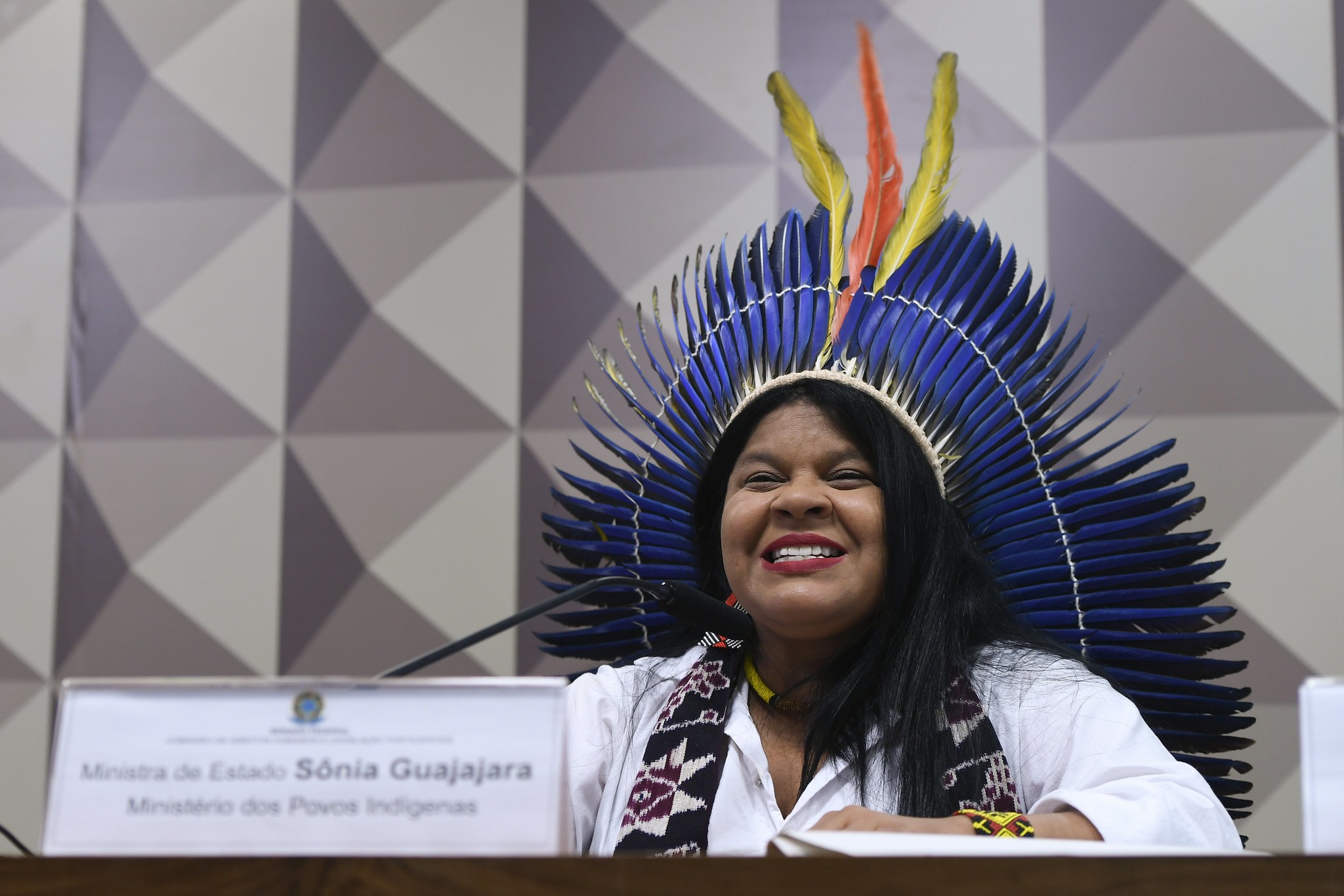 Ministra dos Povos Indígenas defende que AGU se posicione contra a redução do Parque Nacional do Jamanxim