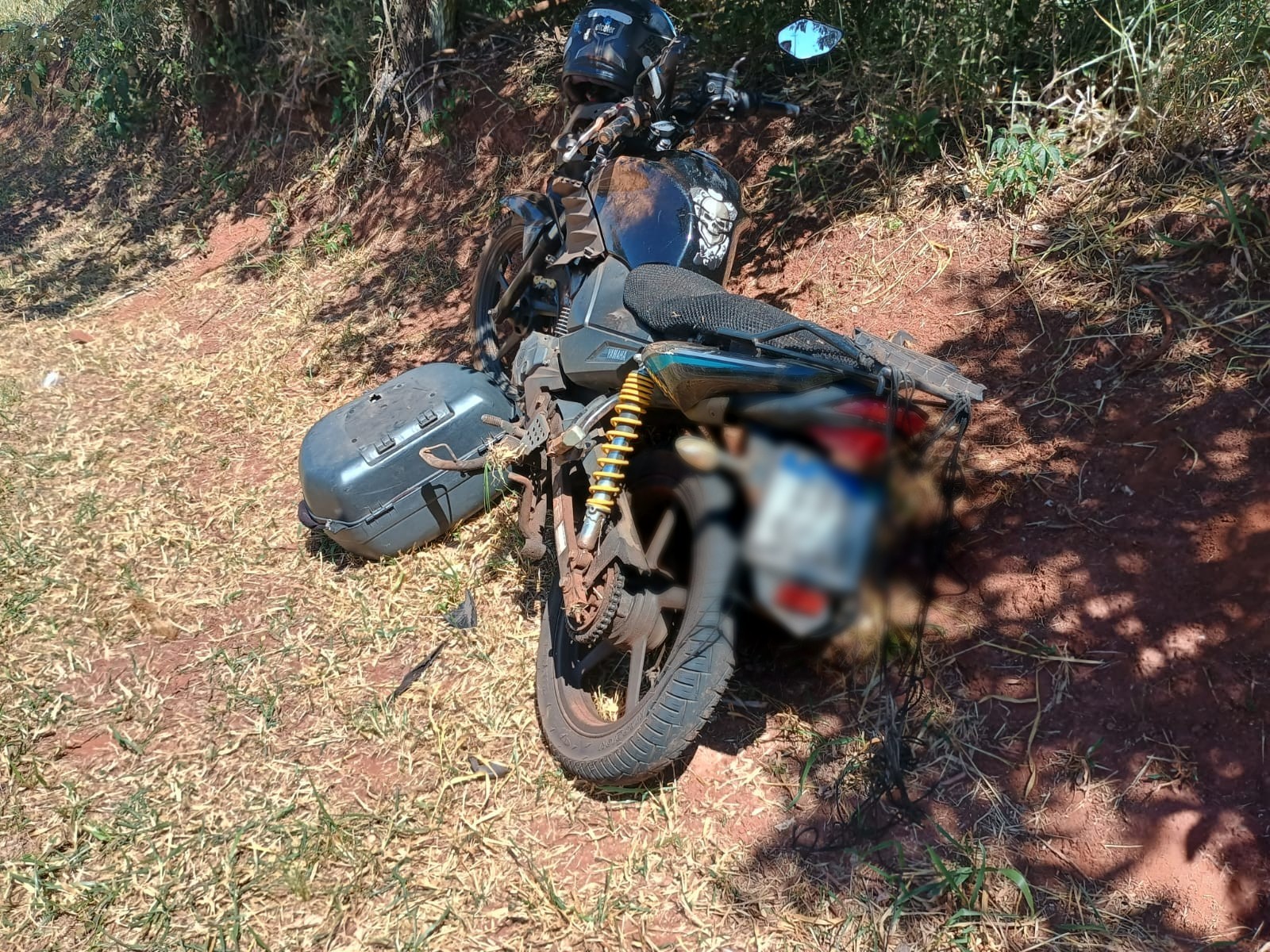 Motociclista morre após atropelar porco selvagem na SP-261 em Piraju