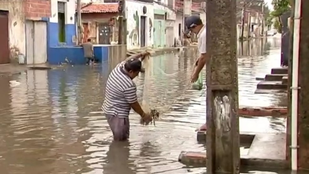 Moradores aproveitam rua alagada de Fortaleza para pescar e pegam vários peixes — Foto: TV Verdes Mares/Reprodução