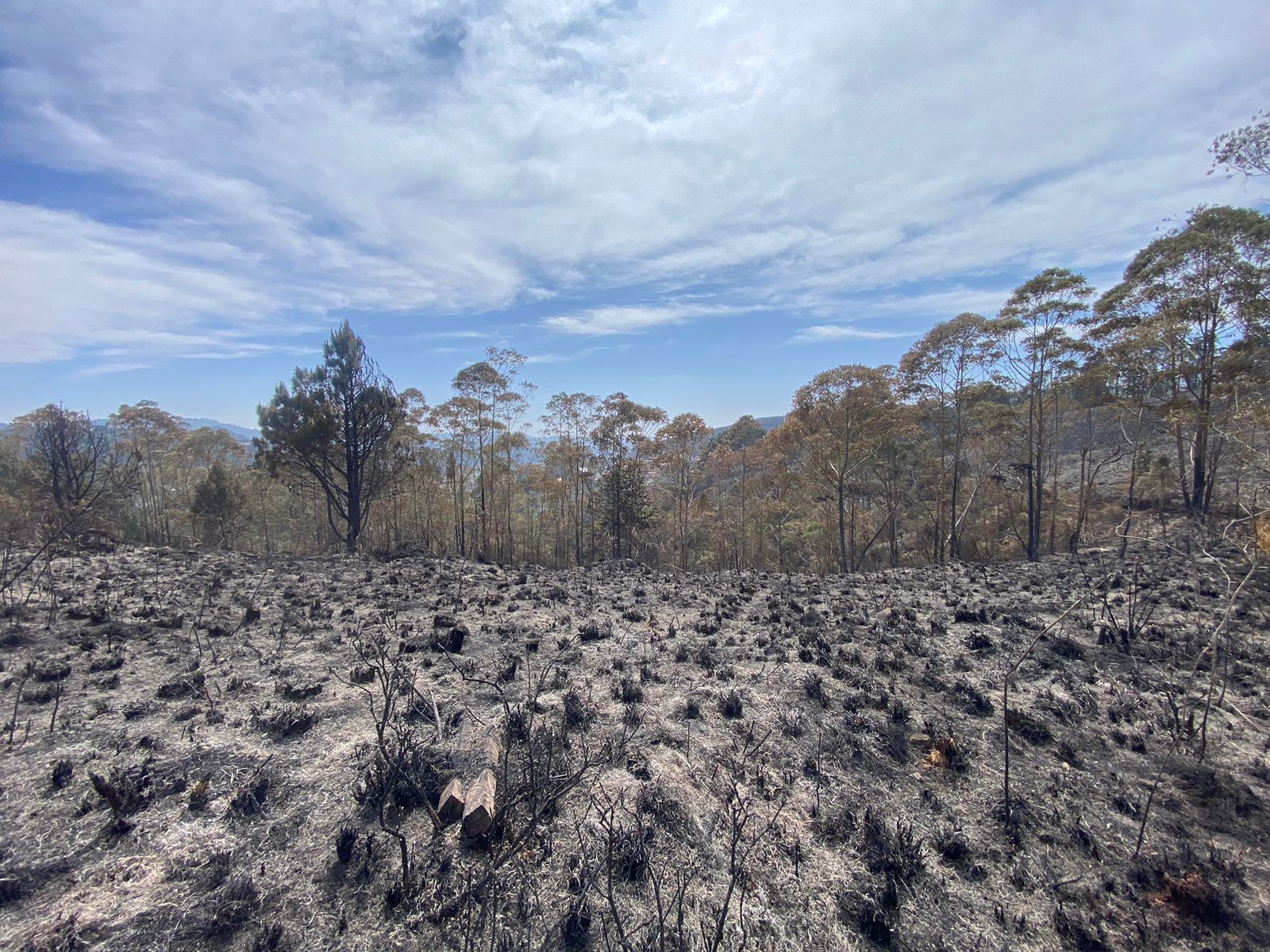 Destino turístico de frio, Campos do Jordão sofre com incêndios em dias de calor e tempo seco