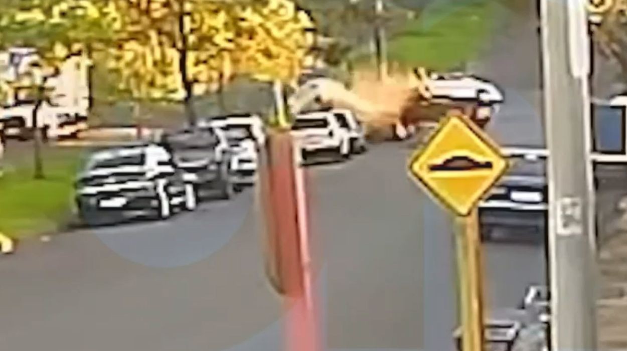 VÍDEO: Motorista perde o controle após passar em lombada, atinge carros e capota