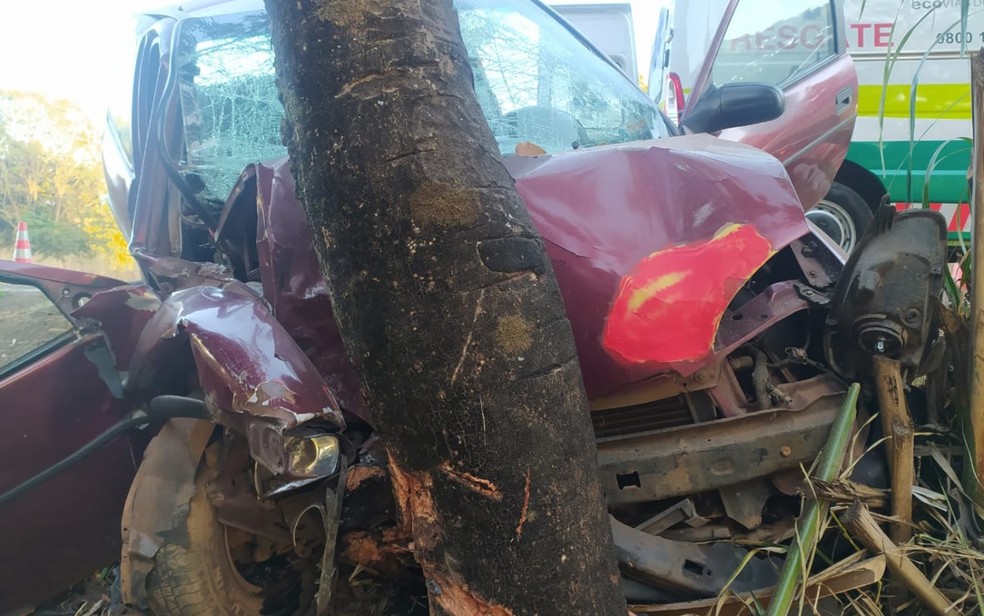 Carro fica destrudo aps bater em rvore em Nova Glria, Gois  Foto: Divulgao/PRF