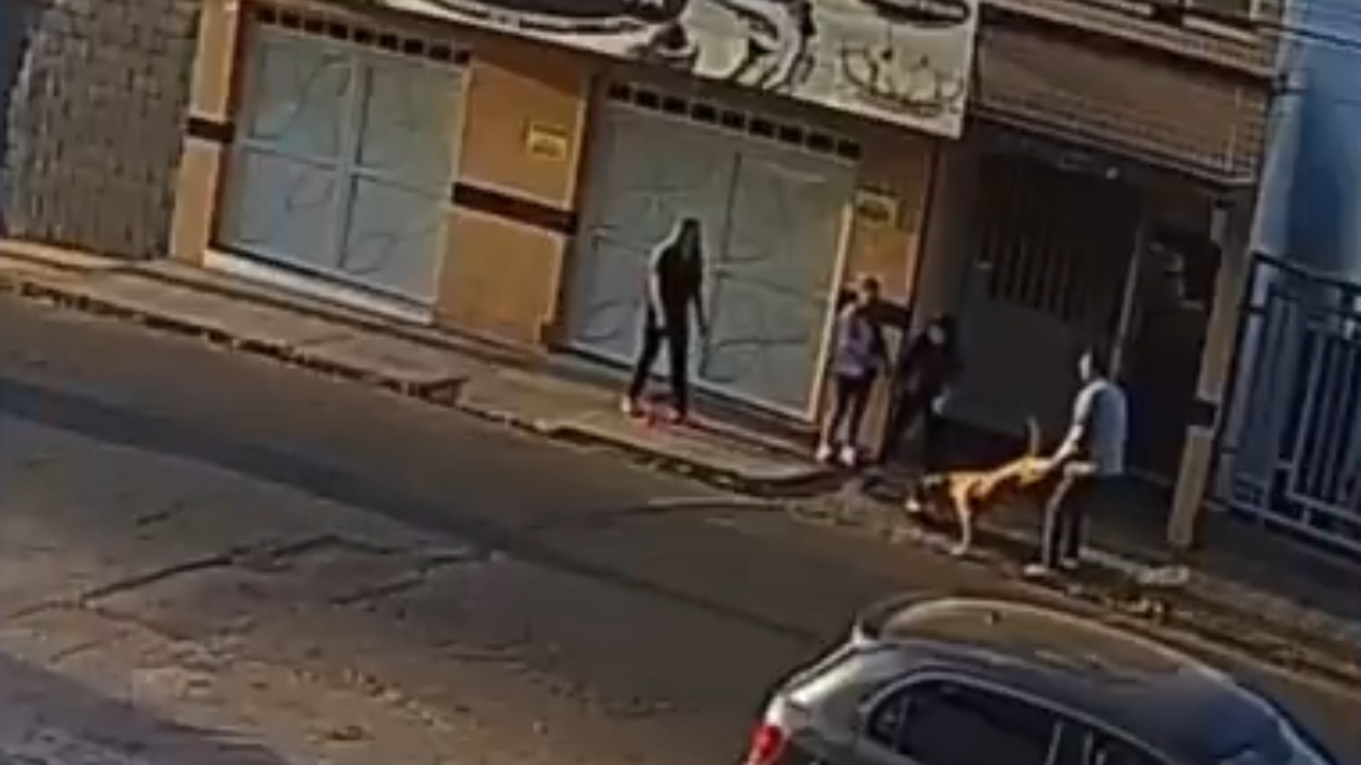 VÍDEO: Motociclista perde parte do dedo ao tentar separar briga de cães em MG