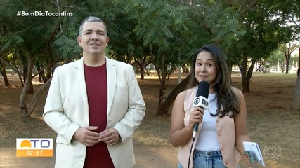 Especialista fala sobre busca por ajuda para melhorar desempenho na vida profissional