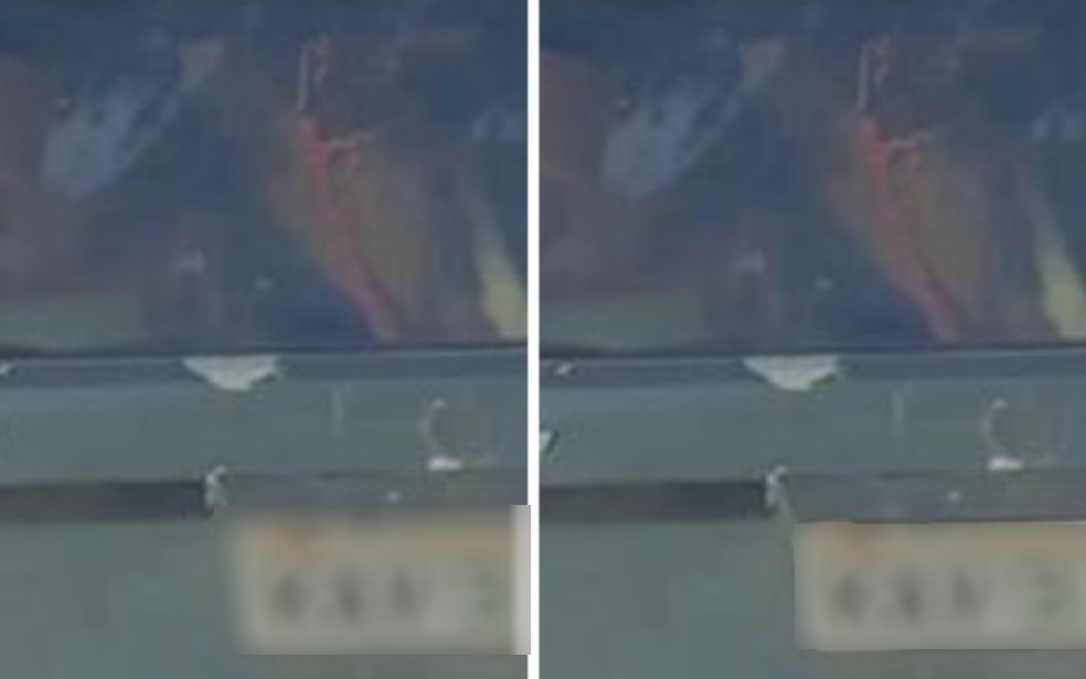 Cavalo dentro de carro em Goiás — Foto: Reprodução/TV Anhanguera