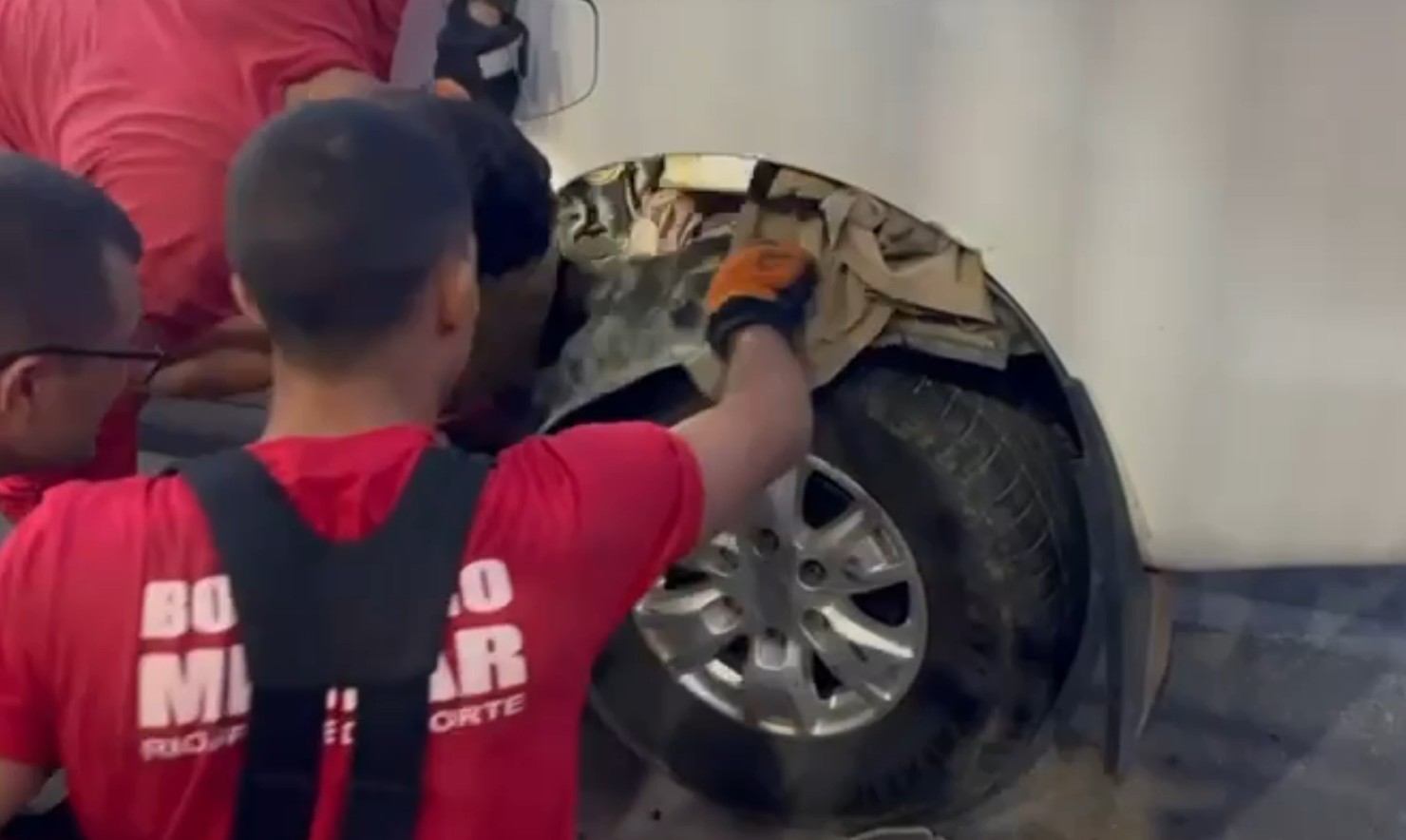 Jiboia é resgatada após aparecer em carro no interior do RN; veja como agir nesses casos