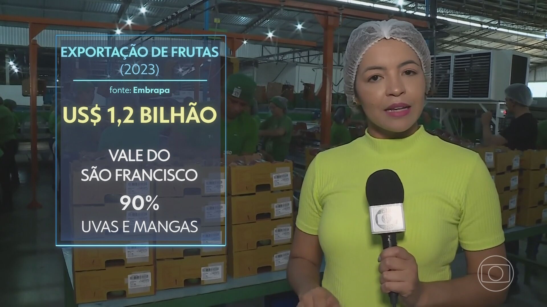 Brasil bate recorde de exportação de frutas em 2023