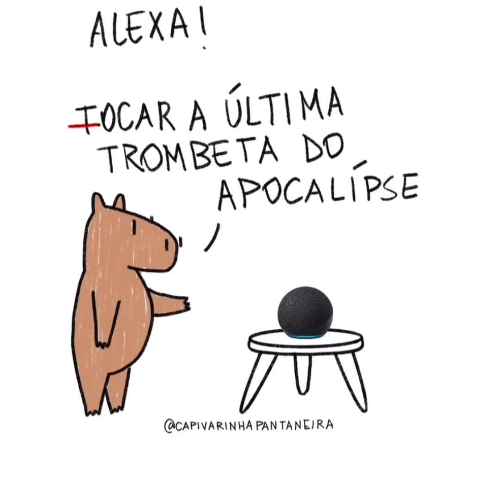Ilustração gerou polêmica nos comentários — Foto: José Filho/@Capivarinha Pantaneira