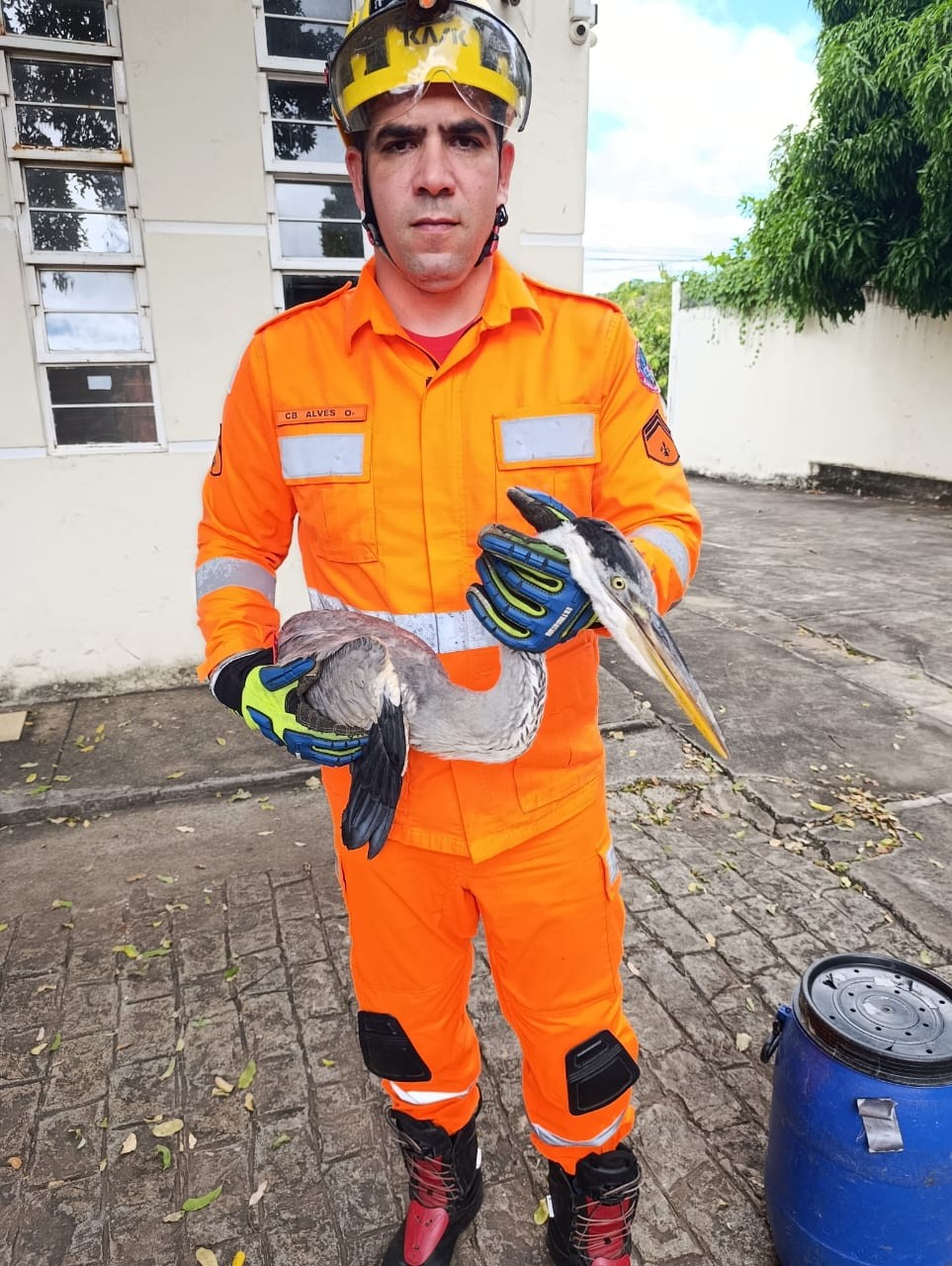 Garça ferida é resgatada pelo Corpo de Bombeiros em Montes Claros 