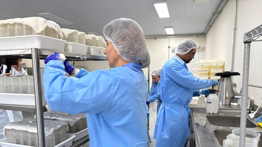 Biofábrica que introduz bactéria natural em ovos do Aedes aegypti para bloquear transmissão de arboviroses é inaugurada em Presidente Prudente - É a primeira unidade do Estado de São Paulo dedicada ao Método Wolbachia.