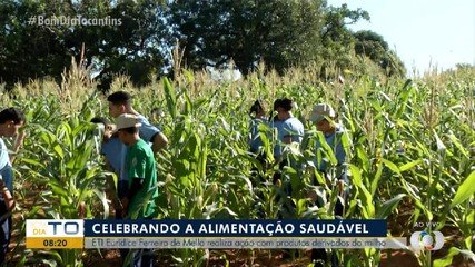 Escola comemora colheita de alimentos plantados por alunos