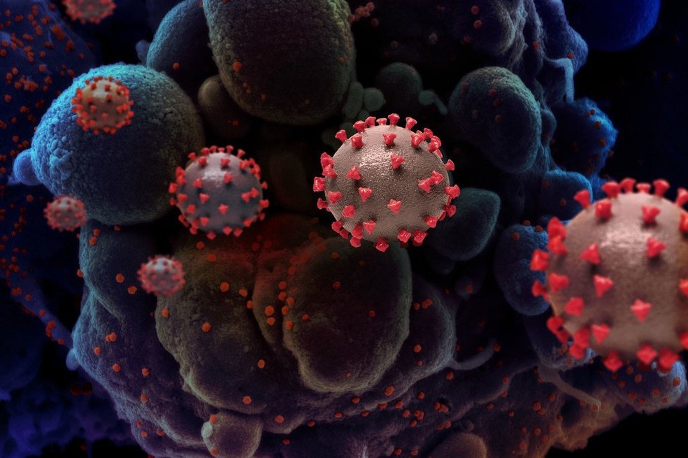 Vírus SARS-CoV-2 — Foto: Reprodução