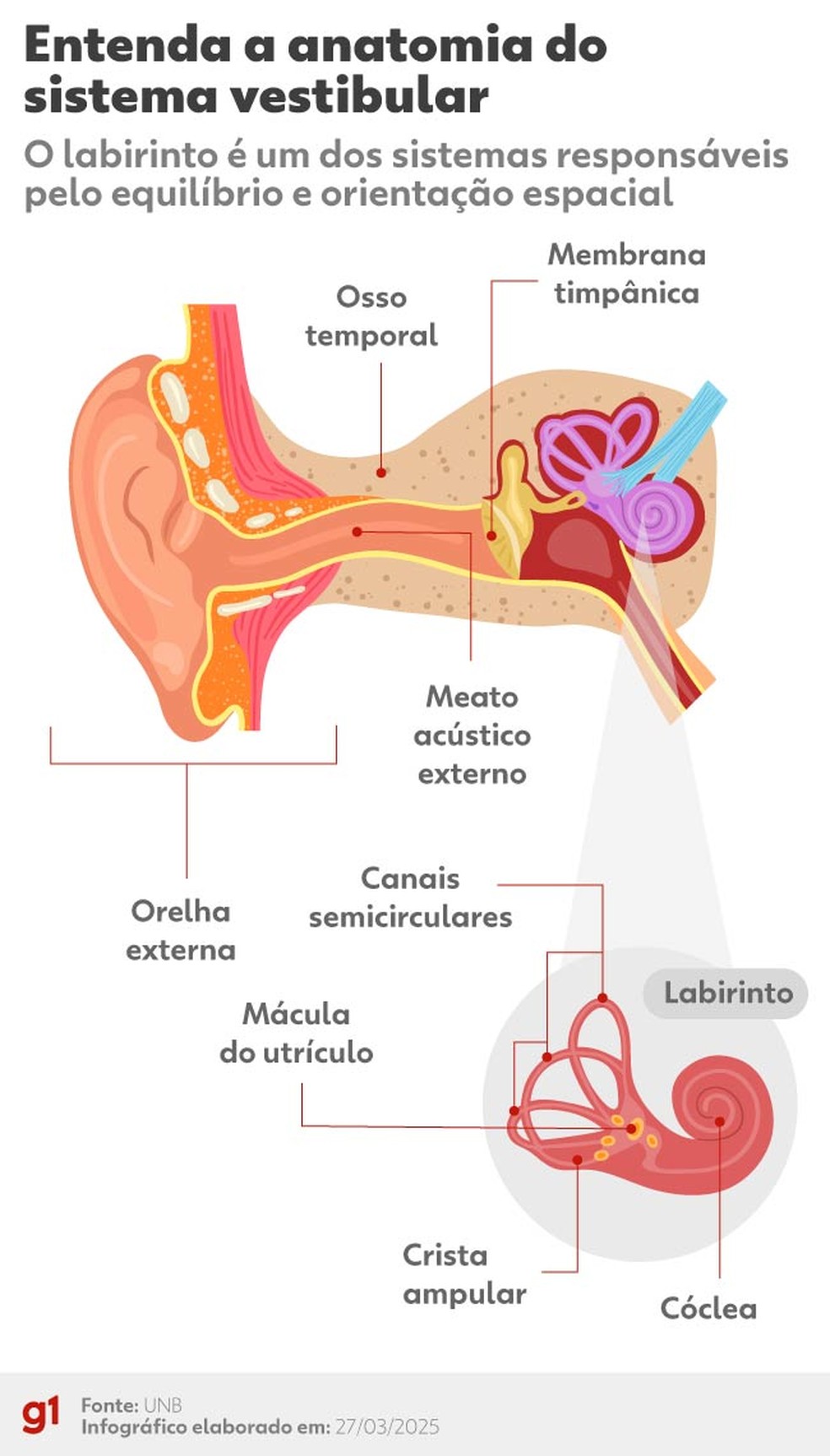 Sistema Vestibular E Equilibrio