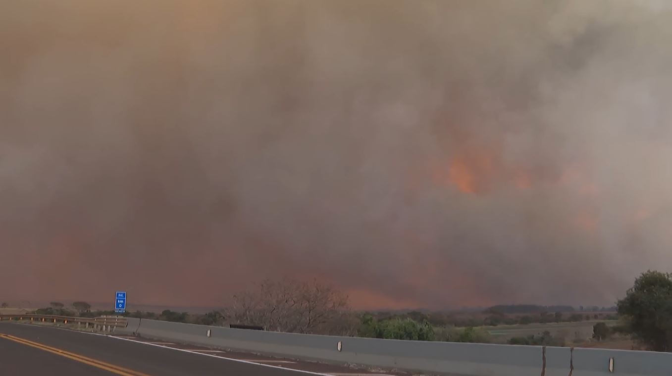 Incêndios no interior de SP: quem são e o que dizem os suspeitos presos