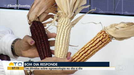 Bom Dia Responde fala sobre agroecologia no dia a dia