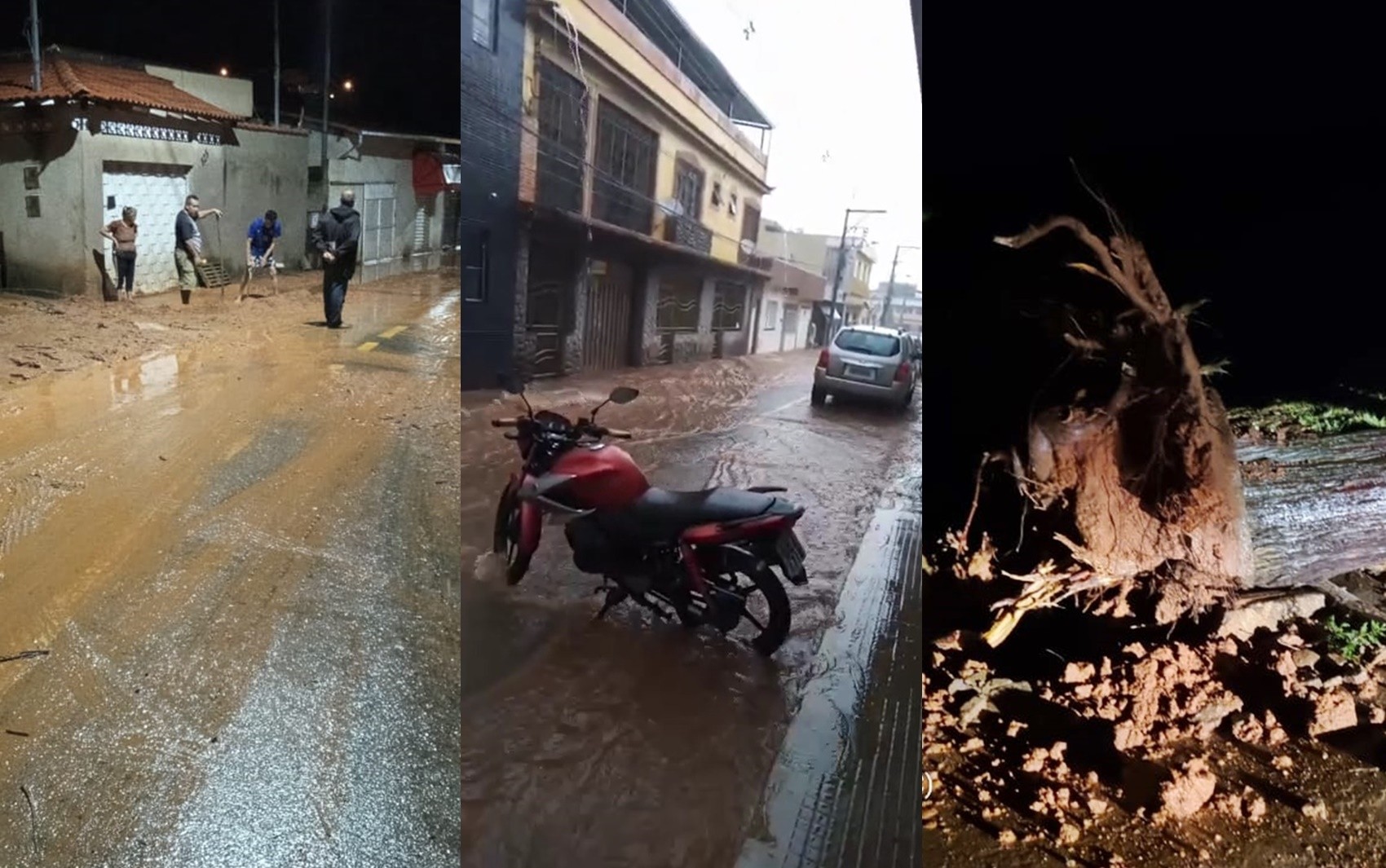 Chuva deixa moradora desalojada, derruba árvores e alaga ruas no Sul de Minas