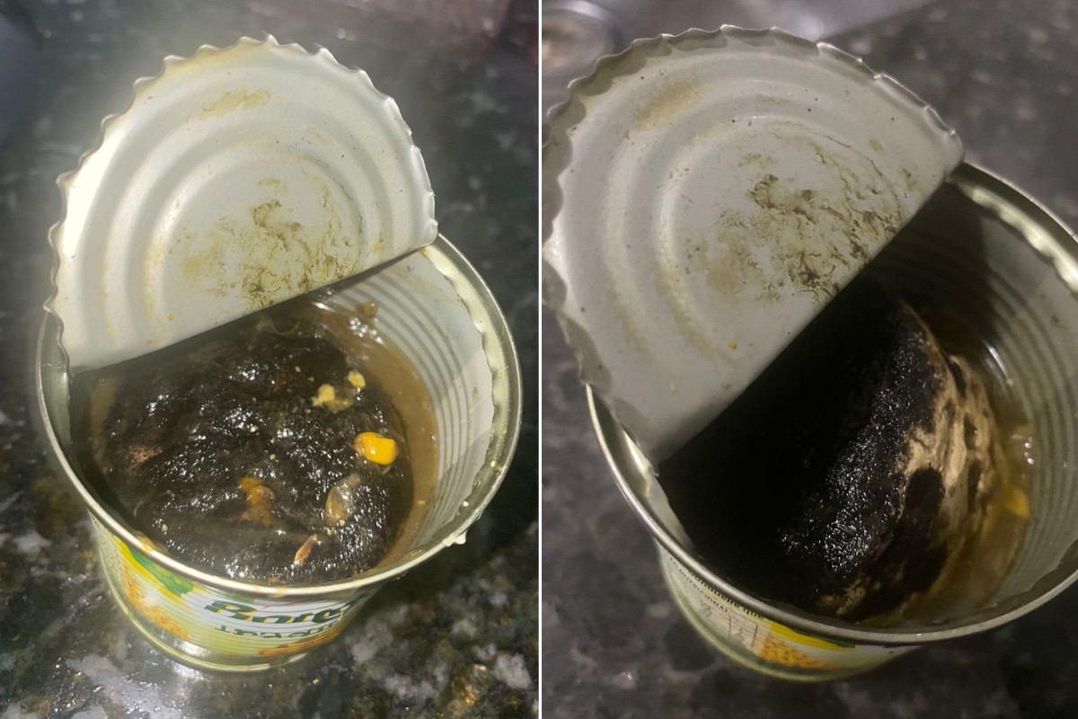 Mulher encontra 'corpo estranho' dentro de lata de milho ao preparar omelete no litoral de SP; VÍDEO 