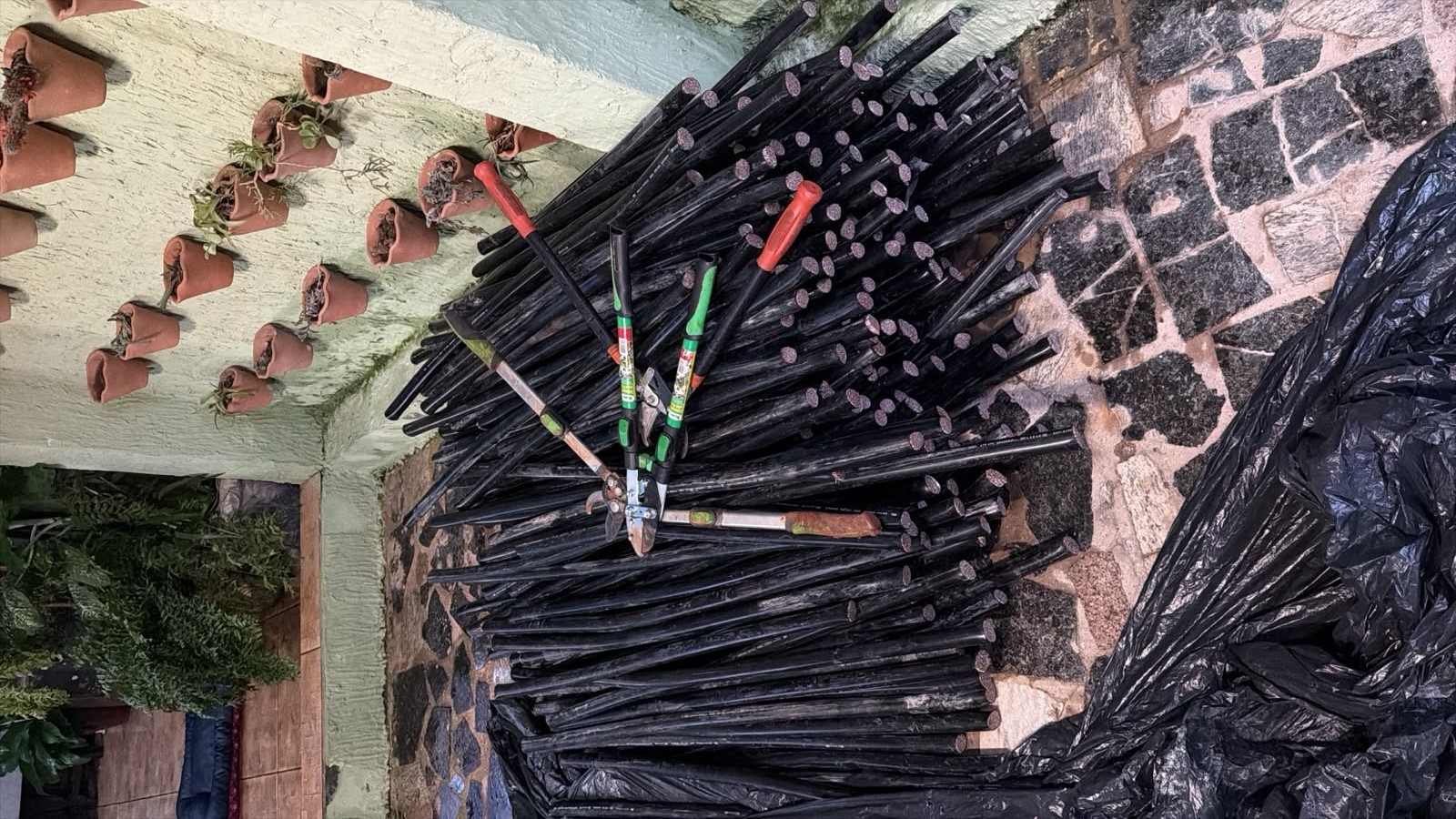 Guarda recupera 220 metros de cabos telefônicos furtados de bueiro e apreende arma e drogas em chácara de Limeira 