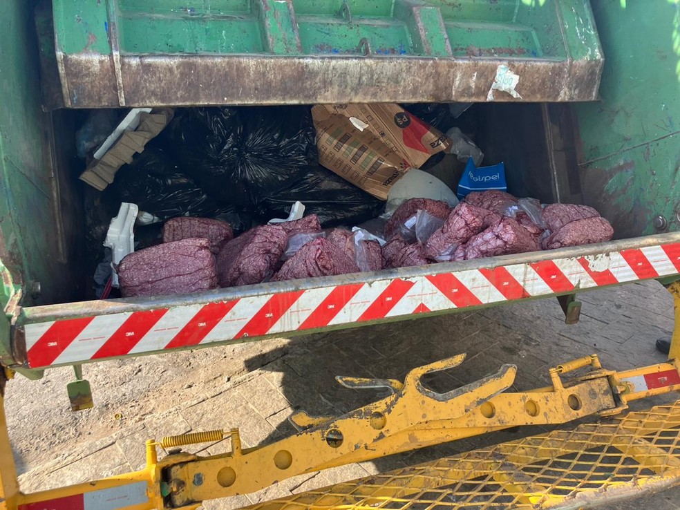 Carne apreendida em frigorífico clandestino de Campinas (SP) é descartada em caminhão de lixo — Foto: Gabriella Ferraz/EPTV