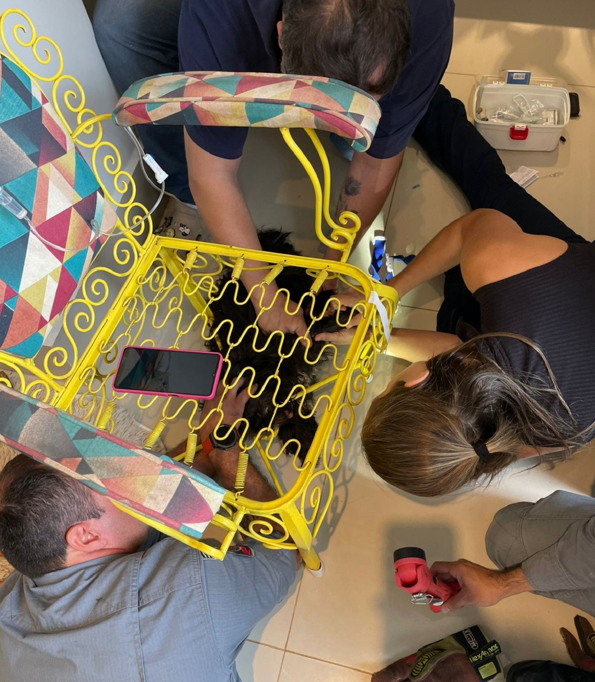 VÍDEO: filhote de cachorro é resgatado após ficar com ferro de cadeira preso na boca em Marília