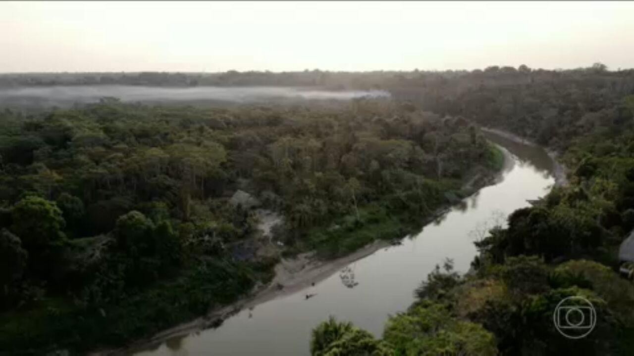 Dois projetos brasileiros viram finalistas do 'Oscar da sustentabilidade'