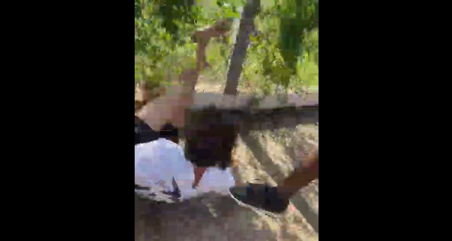 Adolescente de 14 anos é agredido com chutes na cabeça em frente à escola estadual em Piracicaba 