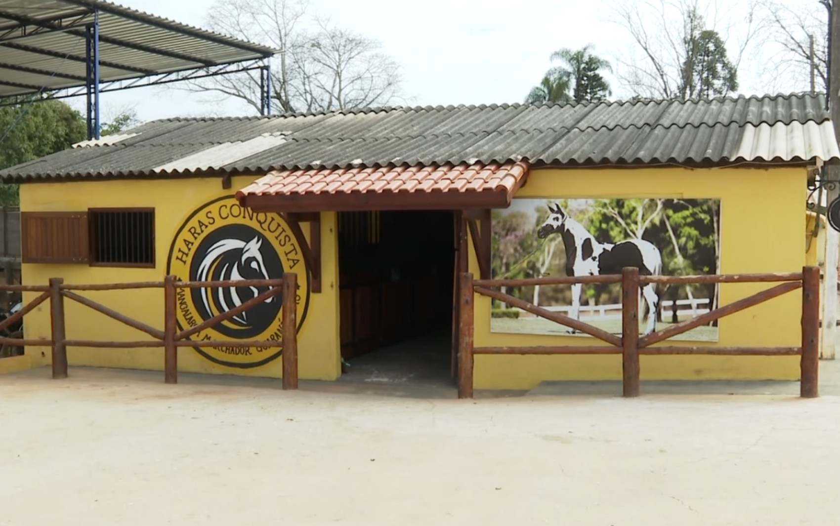 Ração contaminada: Sul de Minas tem pelo menos 15 mortes de animais registradas