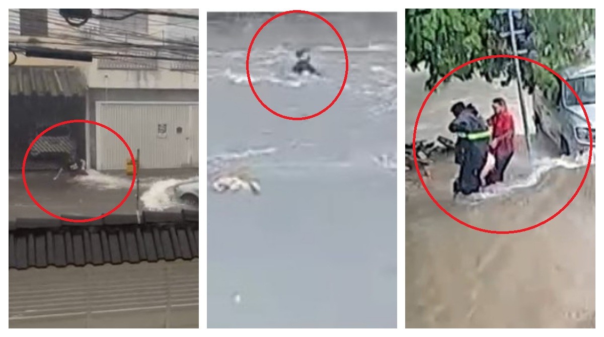 Vídeo mostra momento em que aposentado de 75 anos cai e é arrastado pela chuva na Zona Norte de SP; vítima morreu