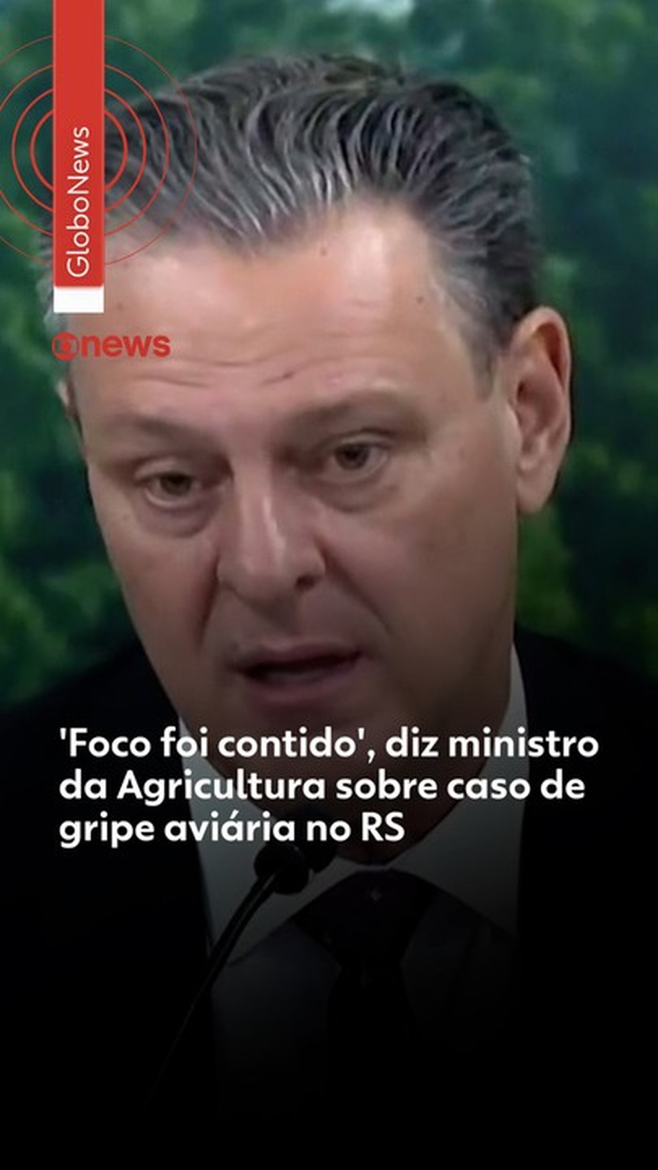 Exportações de frango do Brasil caem 12,9% em maio após caso de gripe aviária em granja comercial