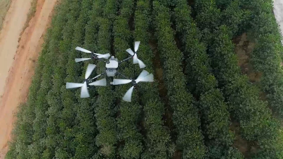 Fazendas economizam tempo e dinheiro com uso de drones na pulverização e impulsionam nova profissão no campo. Espírito Santo. — Foto: TV Gazeta
