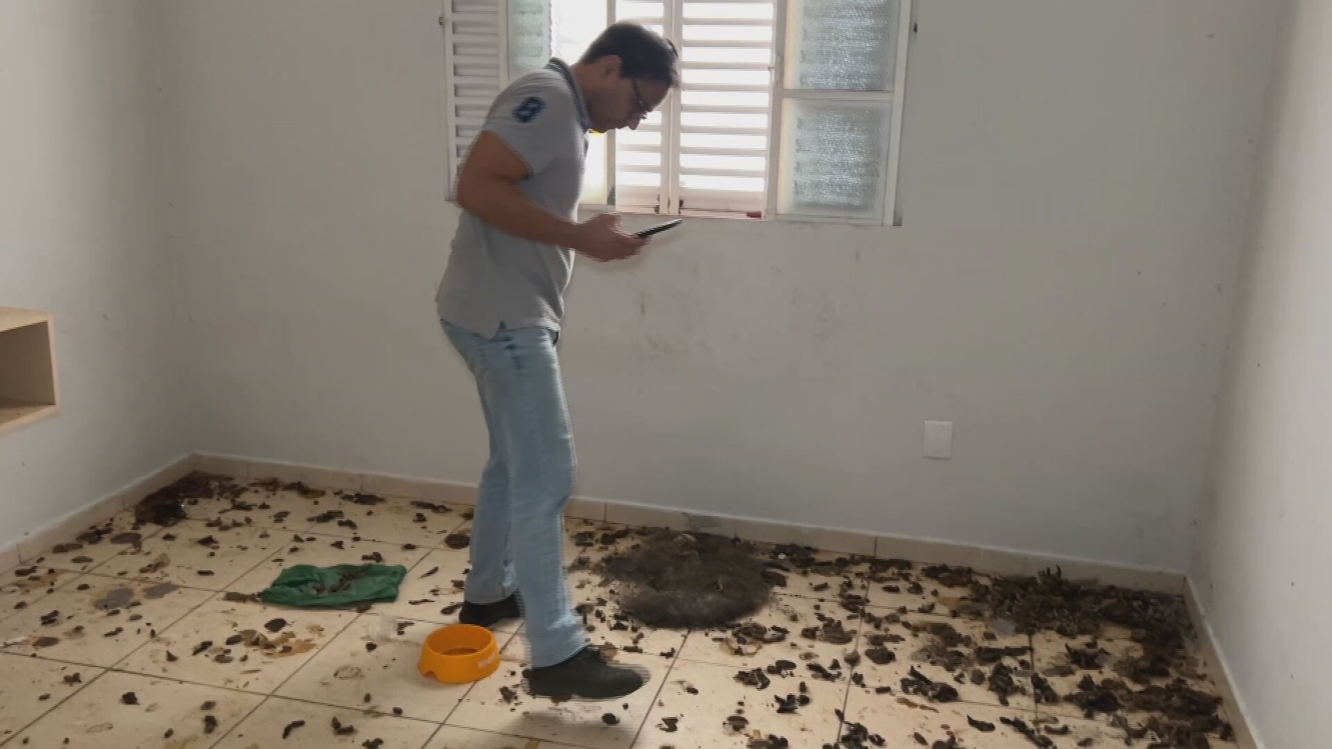 Homem é investigado por maus-tratos após descoberta de ossadas de gatos  em imóvel em Bauru