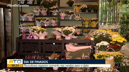 Floriculturas esperam aumento das vendas para o Dia de Finados em Palmas