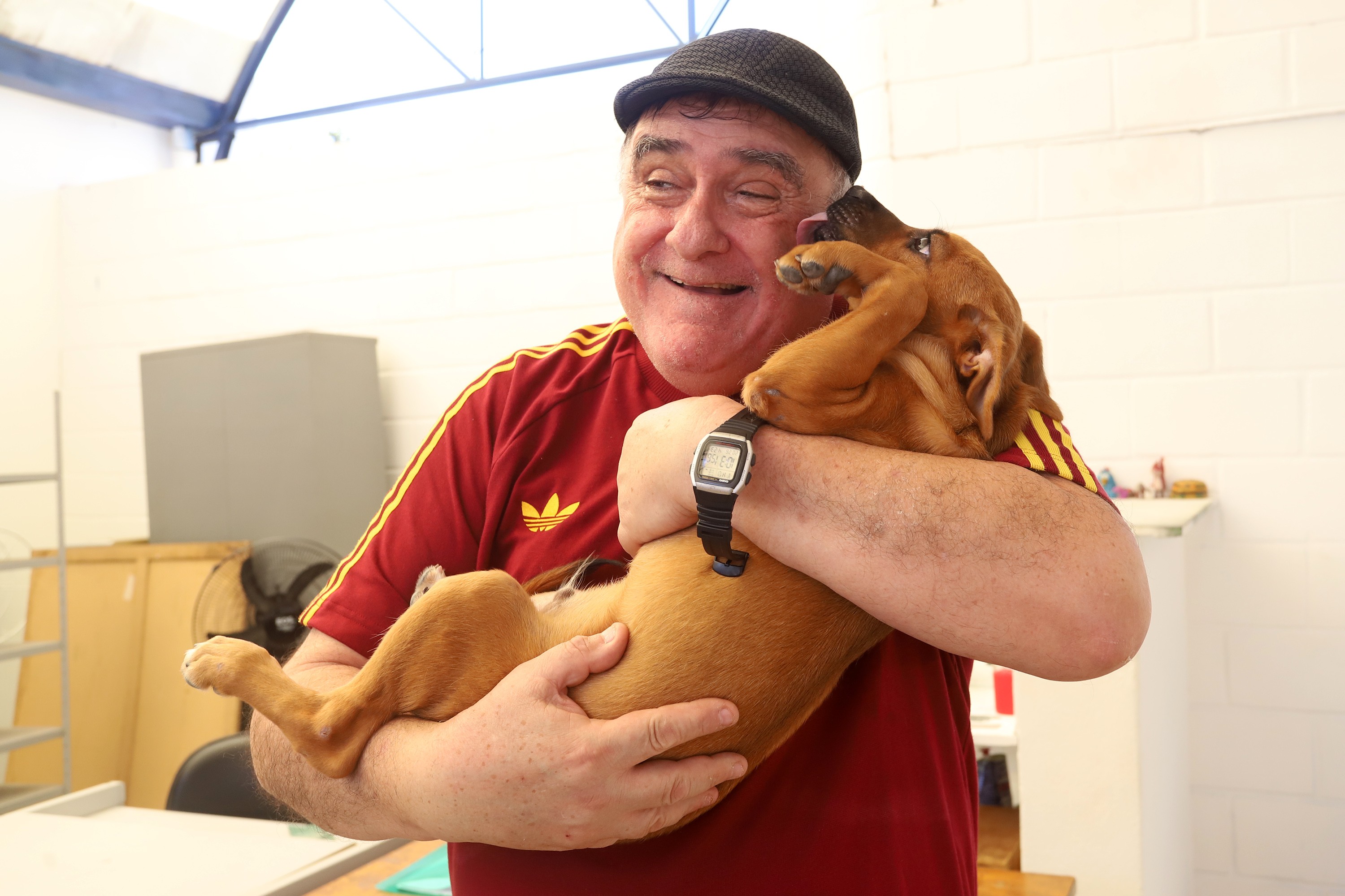 Depois de perder esposa e pet, aposentado adota vira-lata caramelo visto na internet: 'Senti que era ele'