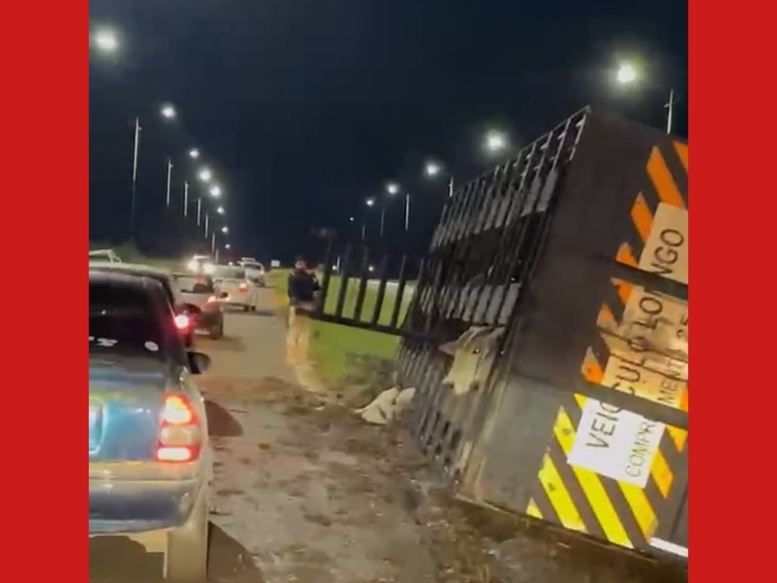 Motorista perde controle de carreta e tomba com mais de 30 bois em rodovia no Acre; VÍDEO
