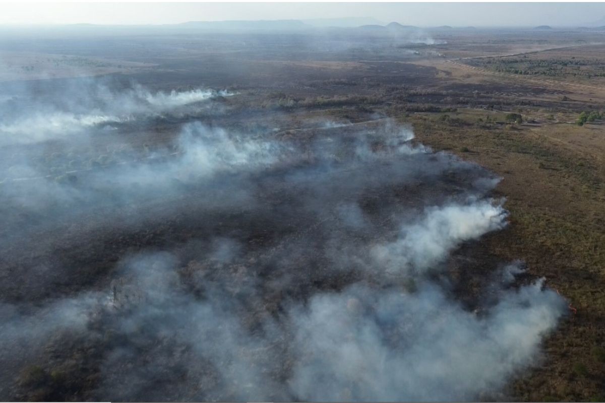 Incêndio na região do Forte Coimbra mobiliza bombeiros no Pantanal