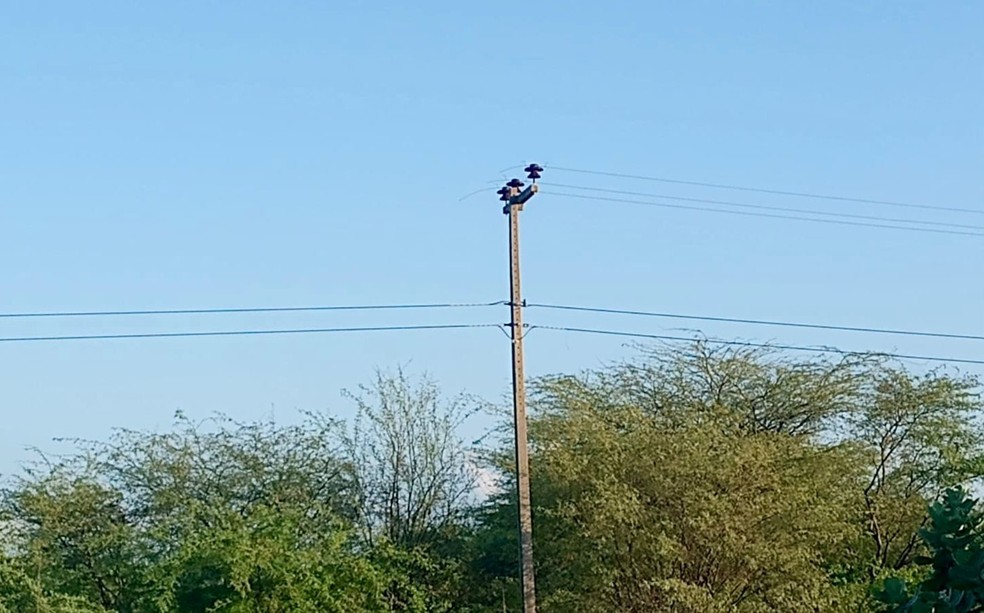 Criminosos furtaram quase 3 km de cabos de energia em 24 horas — Foto: Neoenergia Cosern/Divulgação