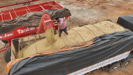 Confira o giro de notícias do Jornal do Campo para Tocantins