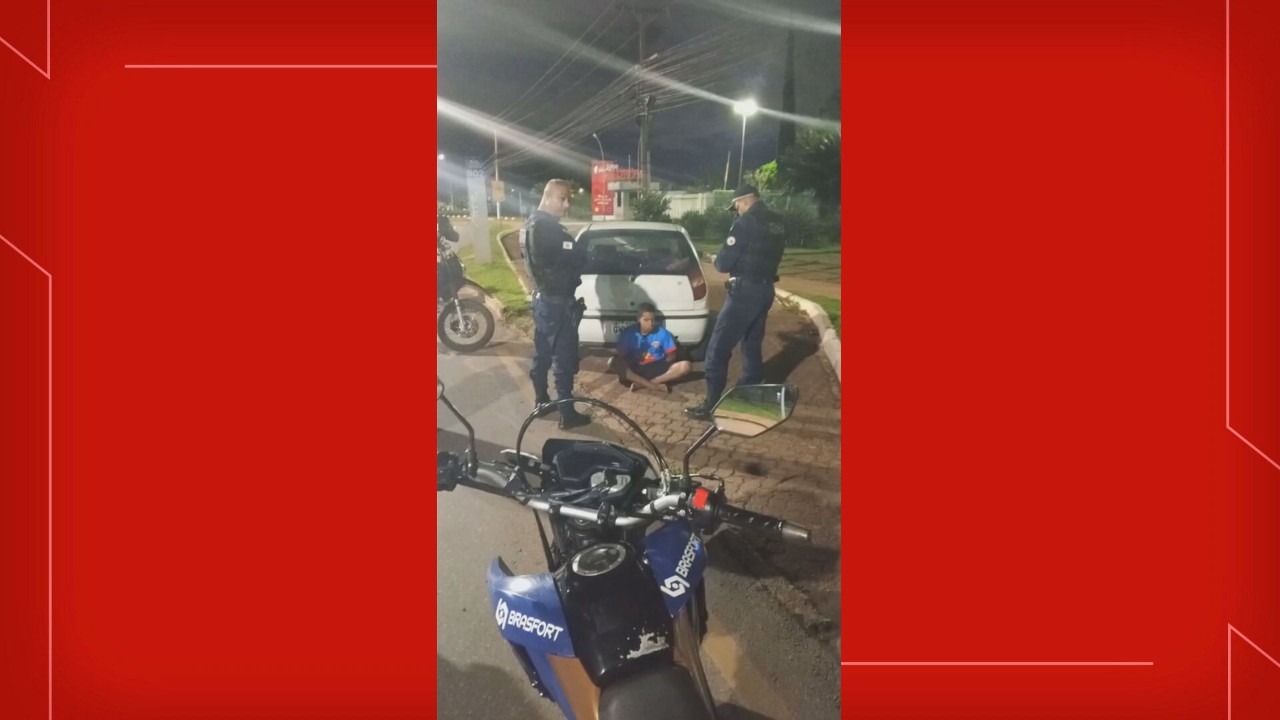 Homens furtam gansos no Parque da Cidade, em Brasília, e são presos