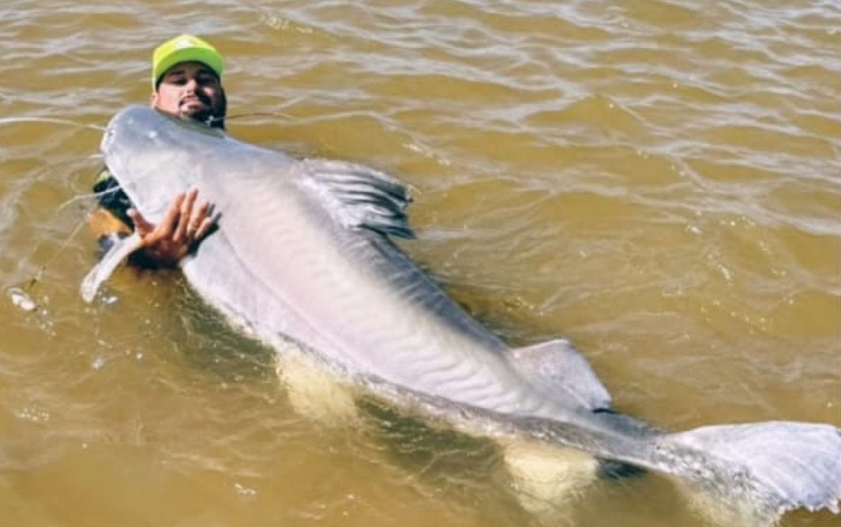 Peixe de 1,8 metro pescado no Rio Araguaia não pode ser consumido e deve ser devolvido à água, diz guia