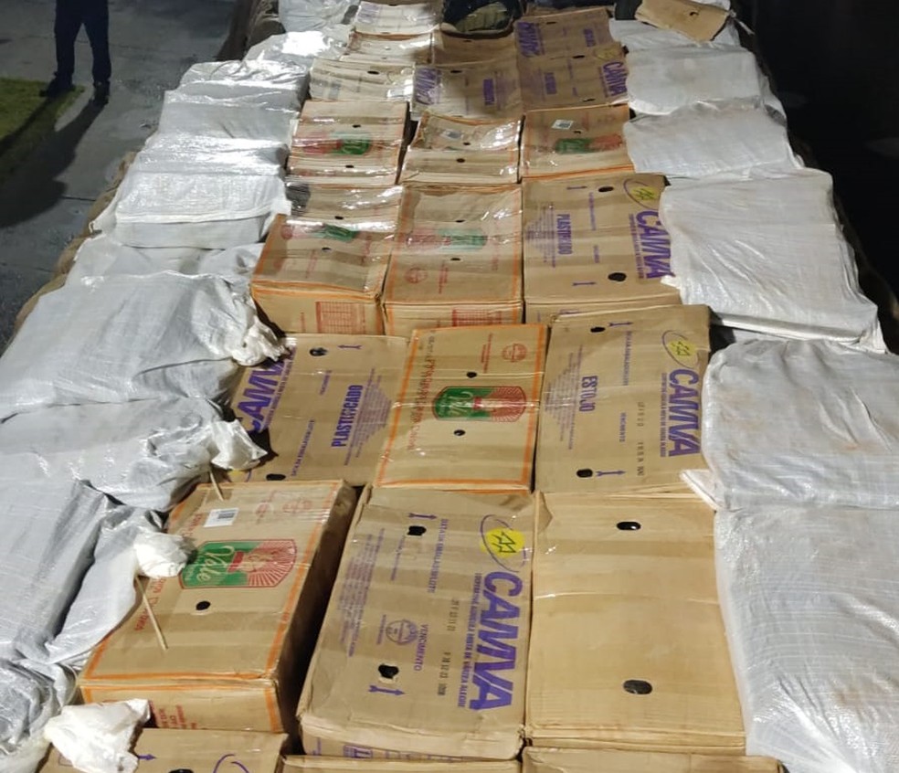 Polícias Rodoviária e Civil apreendem 2,5 toneladas de maconha, em Santa Mercedes (SP) — Foto: Polícia Civil