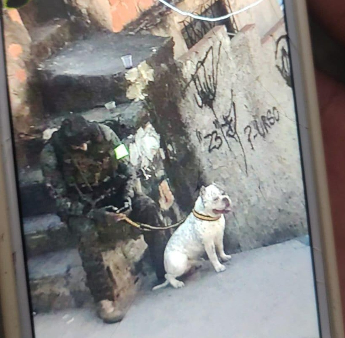 Bewohner des Complexo do Alemão sagen, dass die Polizei bei Einsätzen Hunde mitgebracht habe |  Rio de Janeiro
