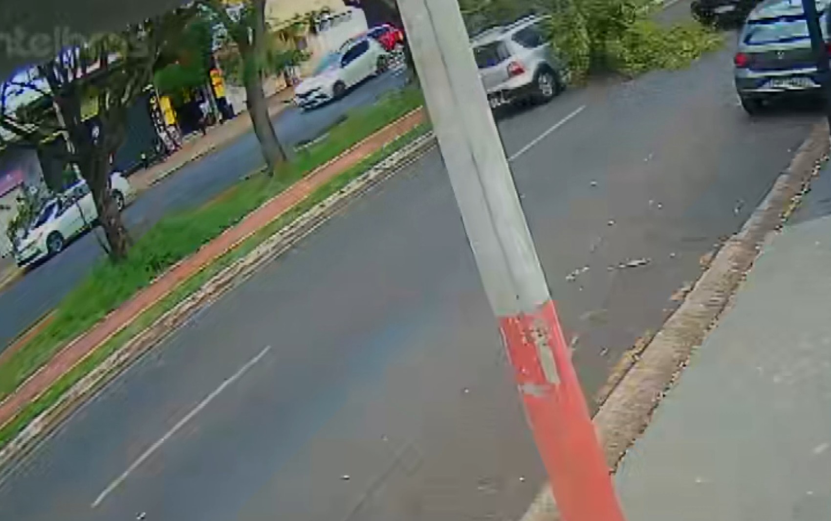 Galho cai e destrói carro que passava por avenida em Ribeirão Preto, SP; vídeo