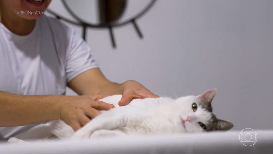 Empreendedora transforma pousada em destino 100% pet friendly e fatura R$ 1,8 milhão por ano