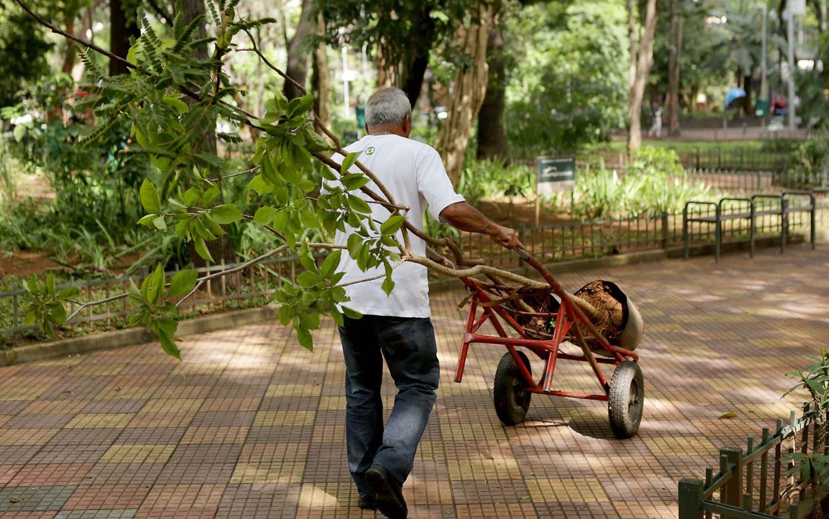 Sinebahia Confira As Vagas De Emprego Para Salvador Na Rms E Interior Do Estado Nesta Segunda 4560